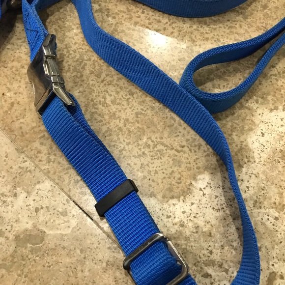 🐶 PET SUPPLIES - Dog Bundle - Collars, Leash, Scarf - Picture 3 of 10